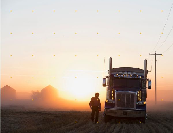 Fleet Performance Audit is for regular maintenance and fuel efficiency