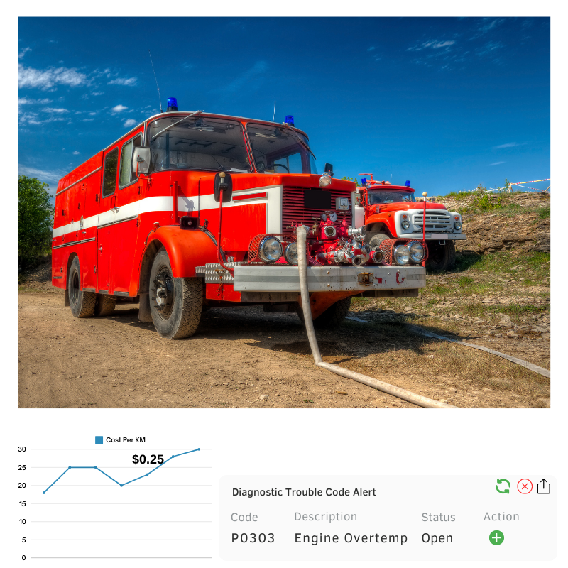 Maximize the Potential of Your Government Fleet