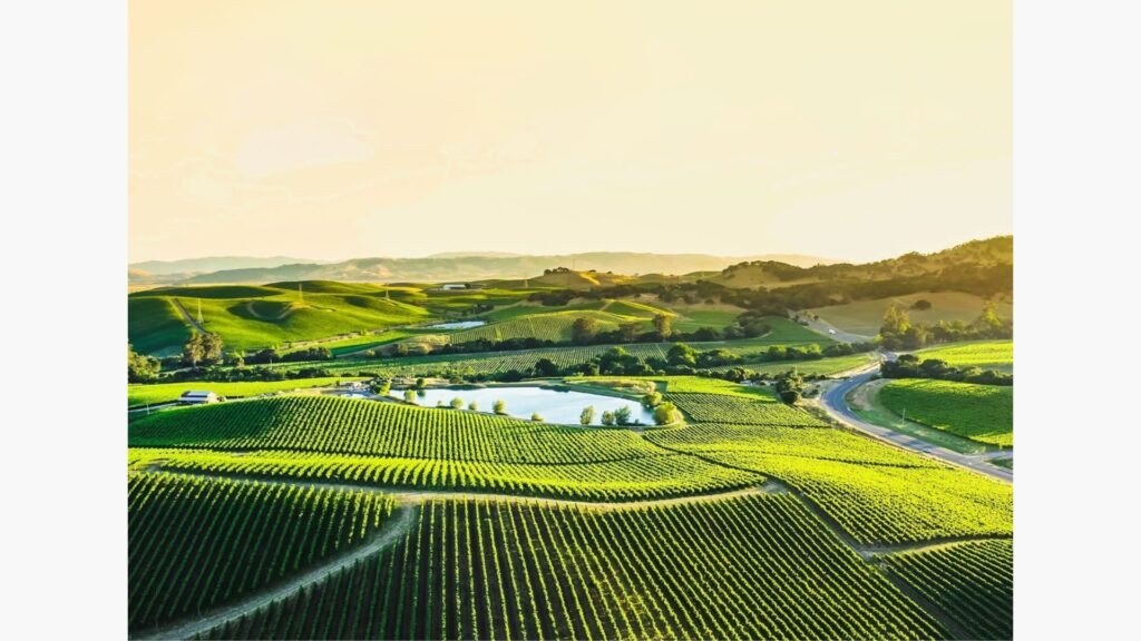 NHVR Bottles Up Best Practices for Grape and Wine Transport Industry
