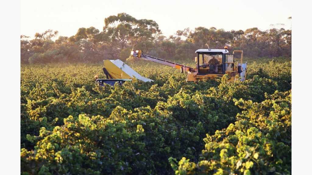 Best Practices for Sustainable Grape and Wine Transport Industry