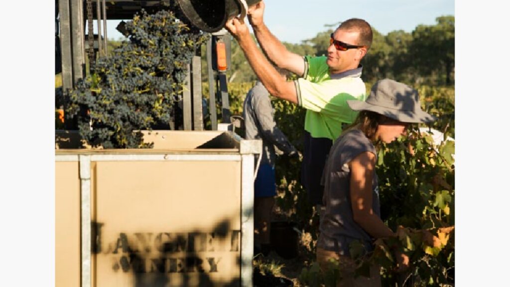 NHVR bottles up best practices for Grape and Wine Transport Industry