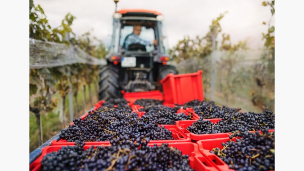 NHVR encloses the Code of Practice for the Grape and Wine Logistics Solutions