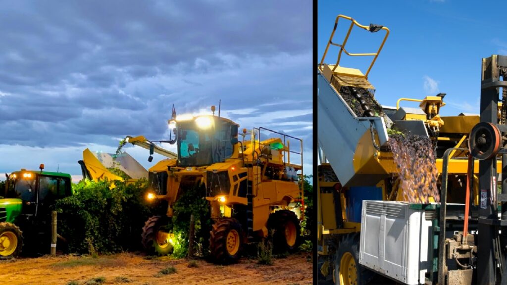 NHVR focuses on the best practices for the wine distribution networks