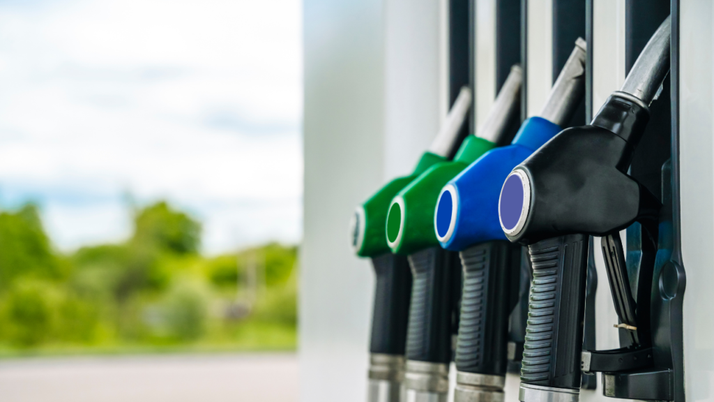 Fleet Management Software for Cost Reduction