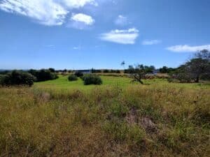 Menangle Rest Area Site Replacing the Old ‘Dust Bowl’